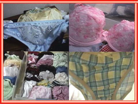 �����D�_�̉����ڸ��݁@����ŏW�߂������Ʊ�ׂ̈̓���