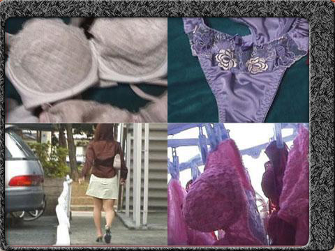 �����D�_�̉����ڸ��݁@����ŏW�߂������Ʊ�ׂ̈̓���